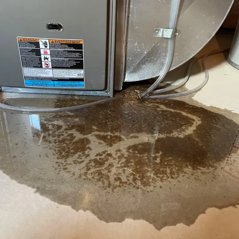 Appliance Leak Cleanup in Hayes Center, NE