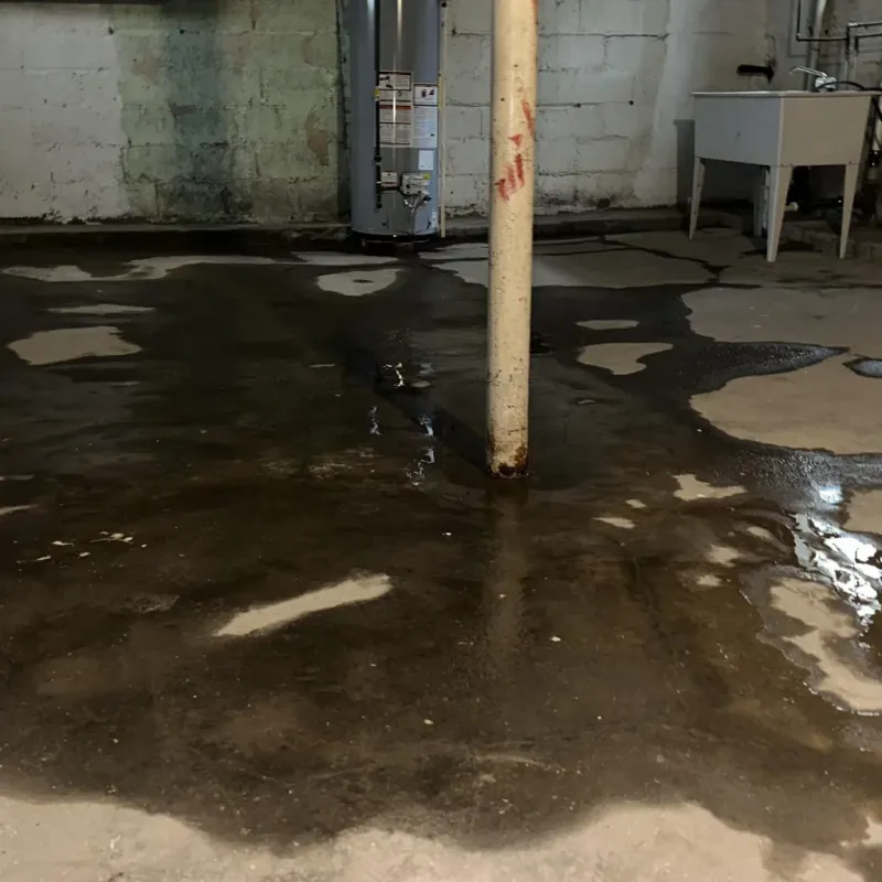 Emergency Water Extraction And Removal in Hayes Center, NE